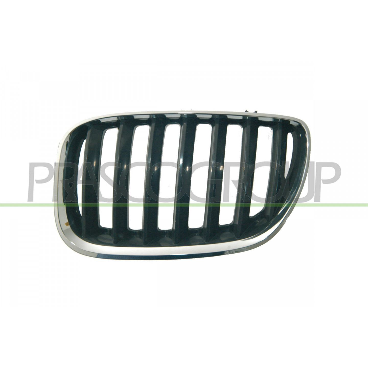 Grille de radiateur PRASCO BM8202024