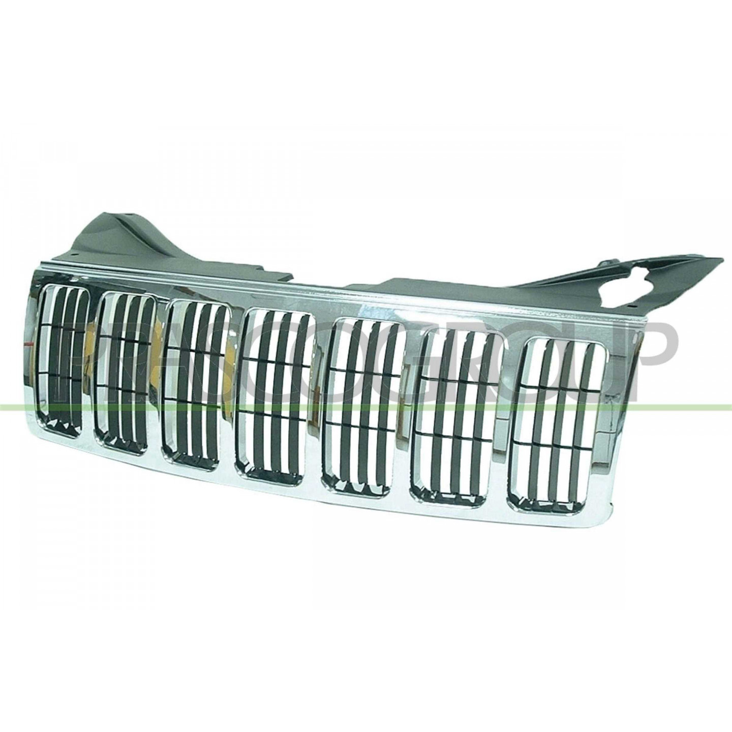 Grille de radiateur PRASCO JE0202011