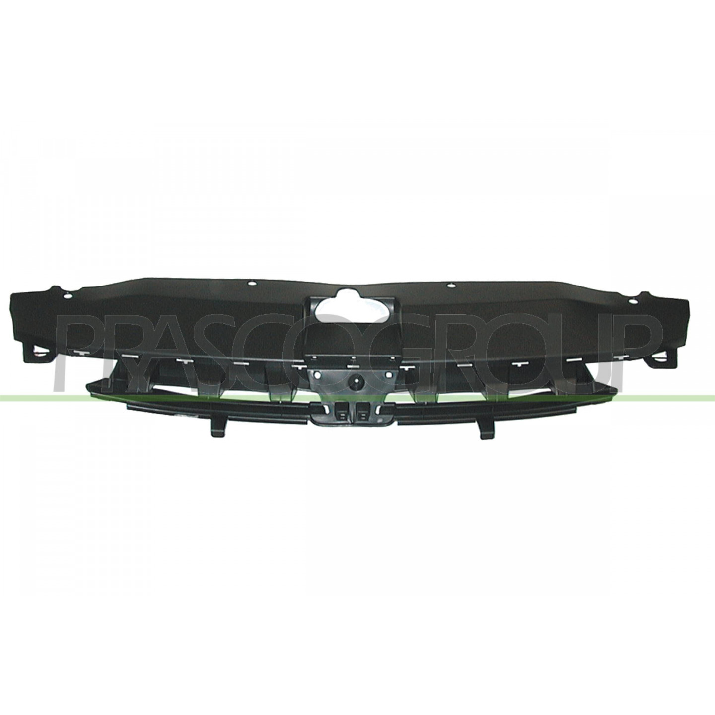 Grille de radiateur PRASCO PG4202001