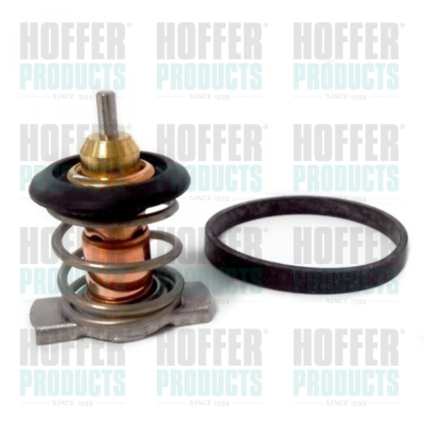Thermostat, Kühlmittel HOFFER 8192843K