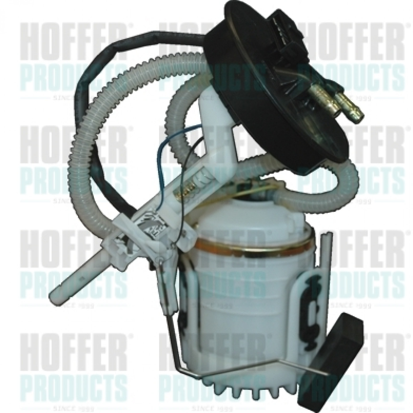 Unité d'injection de carburant HOFFER 7506414 C