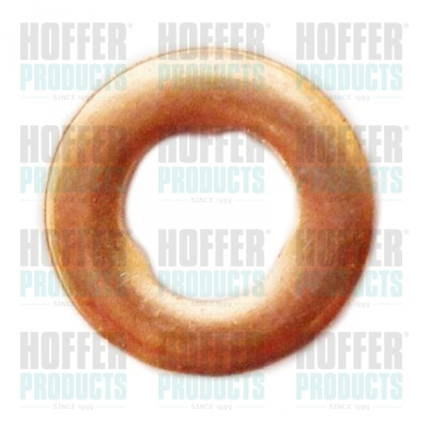 Tætningsring, dyseskakt HOFFER 8029705