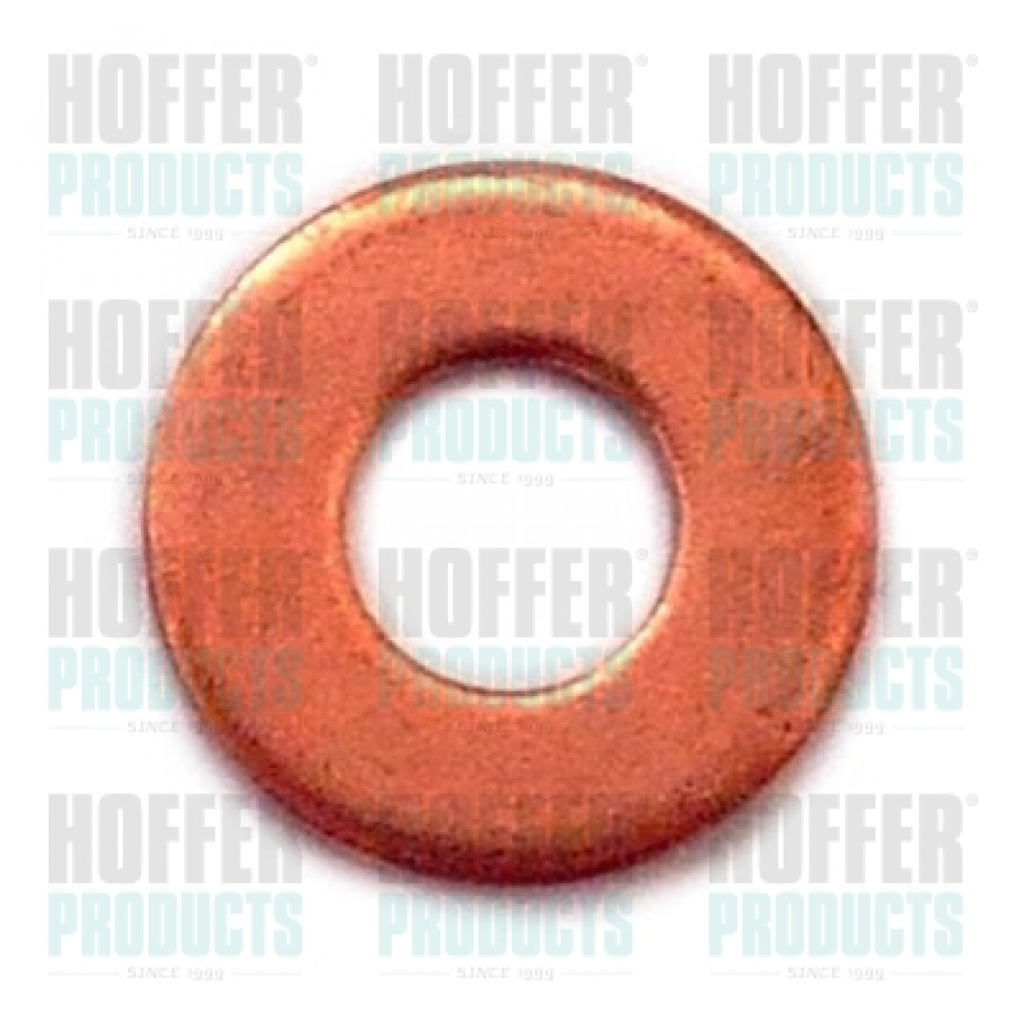 Bague d'étanchéité, compartiment du gicleur HOFFER 8029706