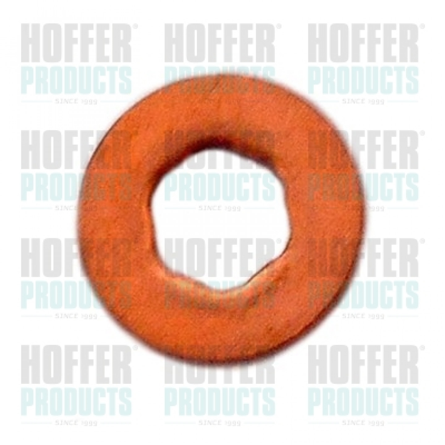 Afdichtring, verstuiverschacht HOFFER 8029710