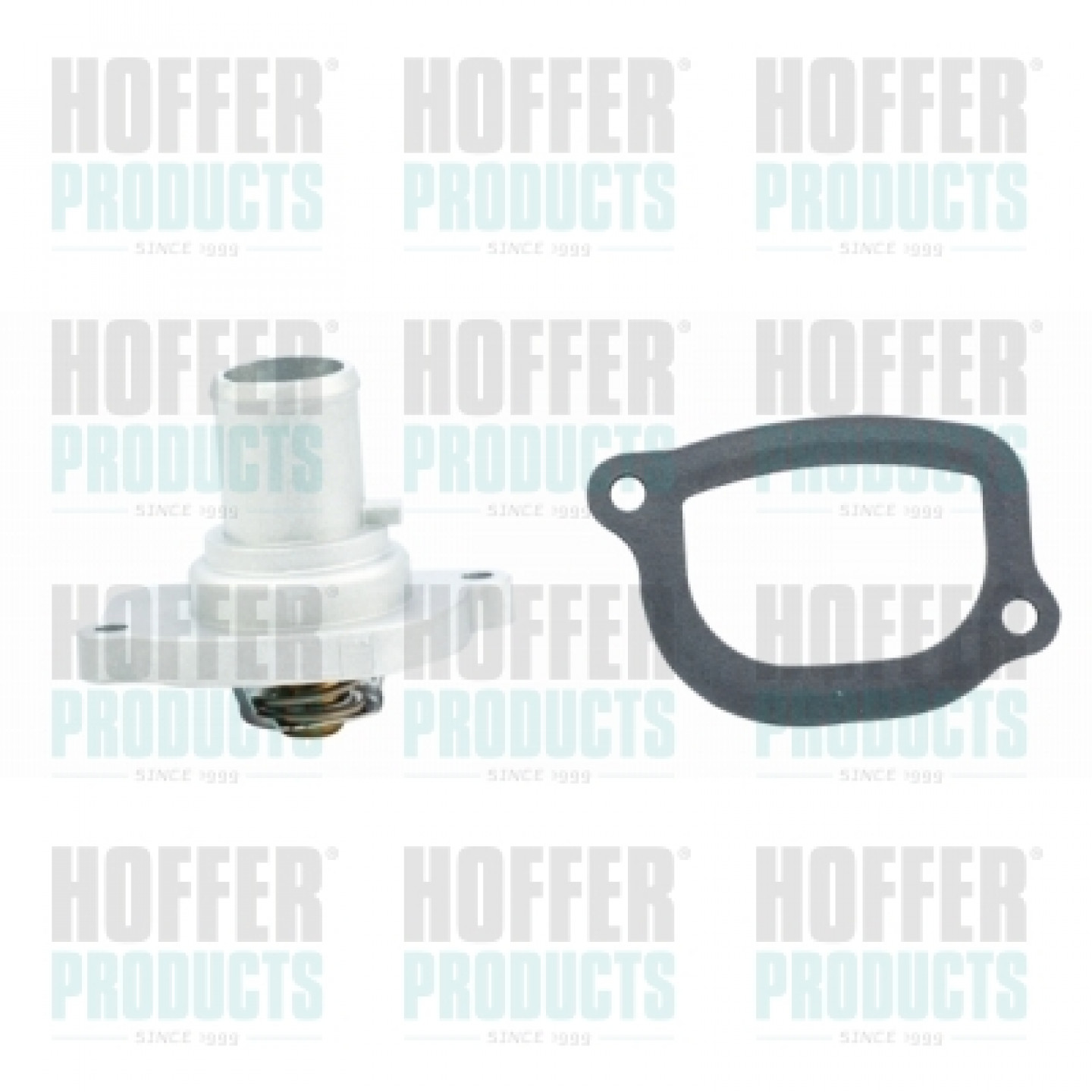 Thermostat d'eau HOFFER 8192078