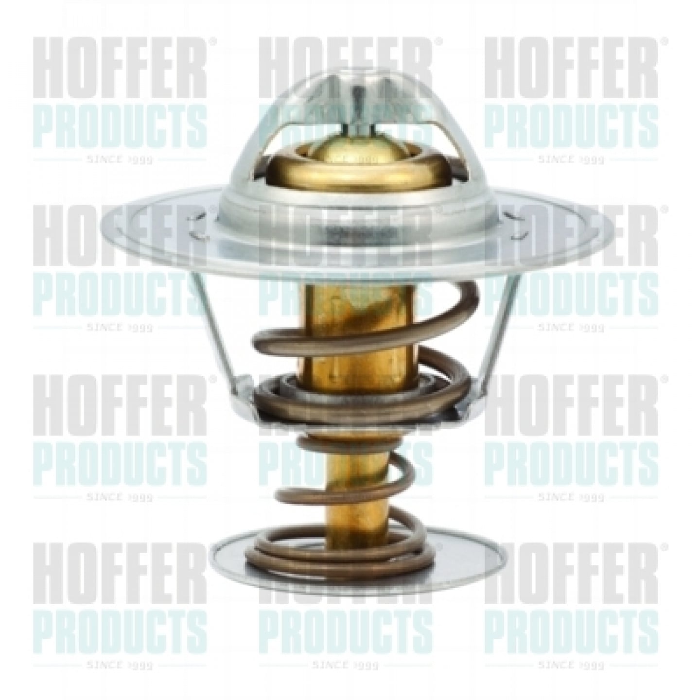 Thermostat d'eau HOFFER 8192161