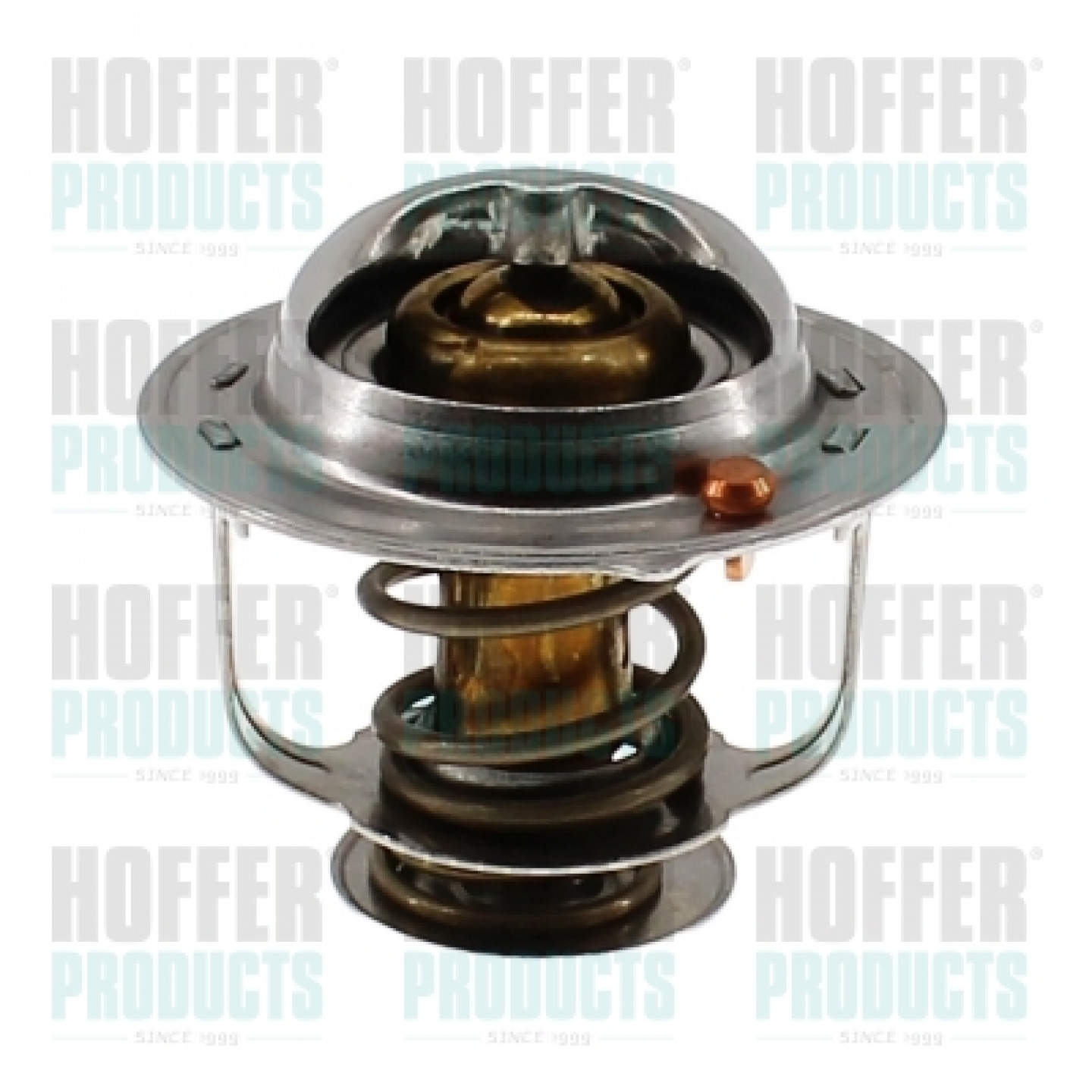 Thermostat d'eau HOFFER 8192295