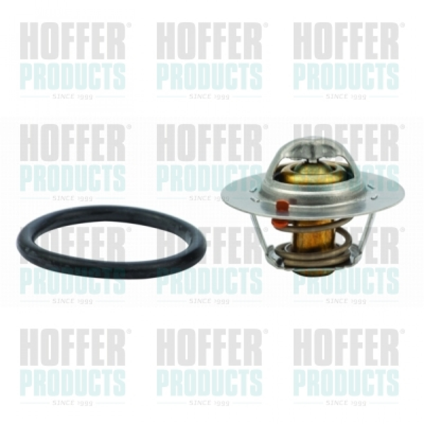 Thermostat d'eau HOFFER 8192342