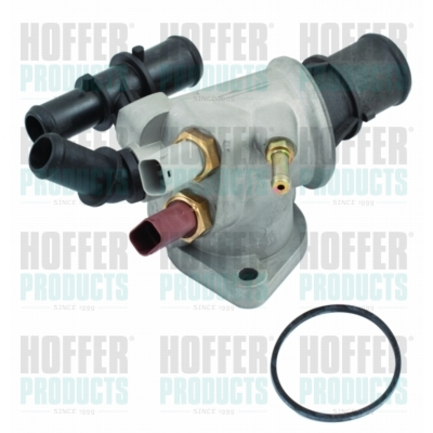 Thermostat d'eau HOFFER 8192418