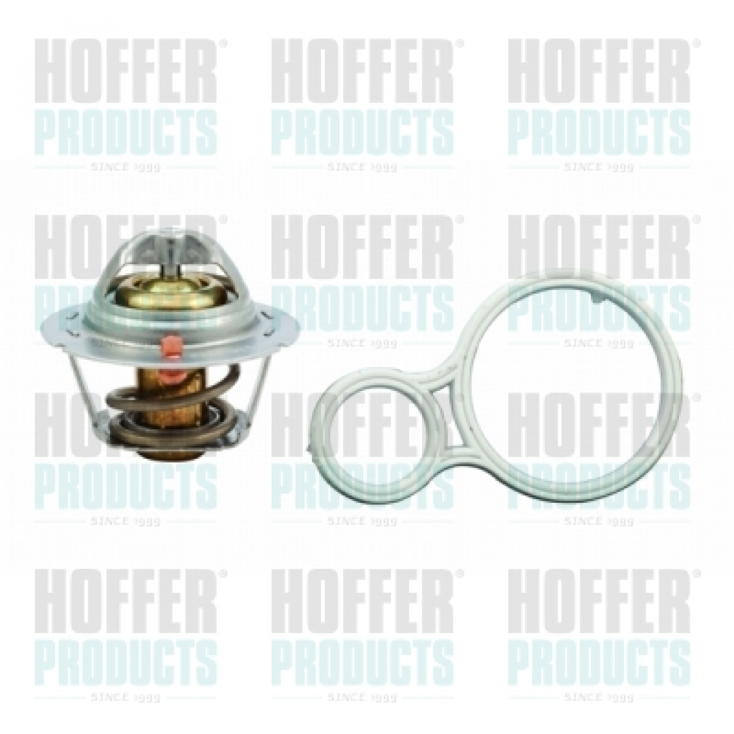 Thermostat d'eau HOFFER 8192440