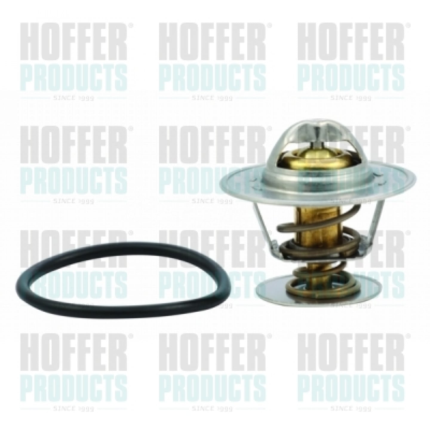 Thermostat d'eau HOFFER 8192505