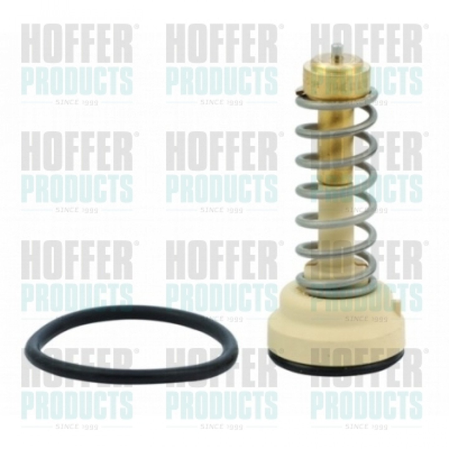 Thermostat d'eau HOFFER 8192648