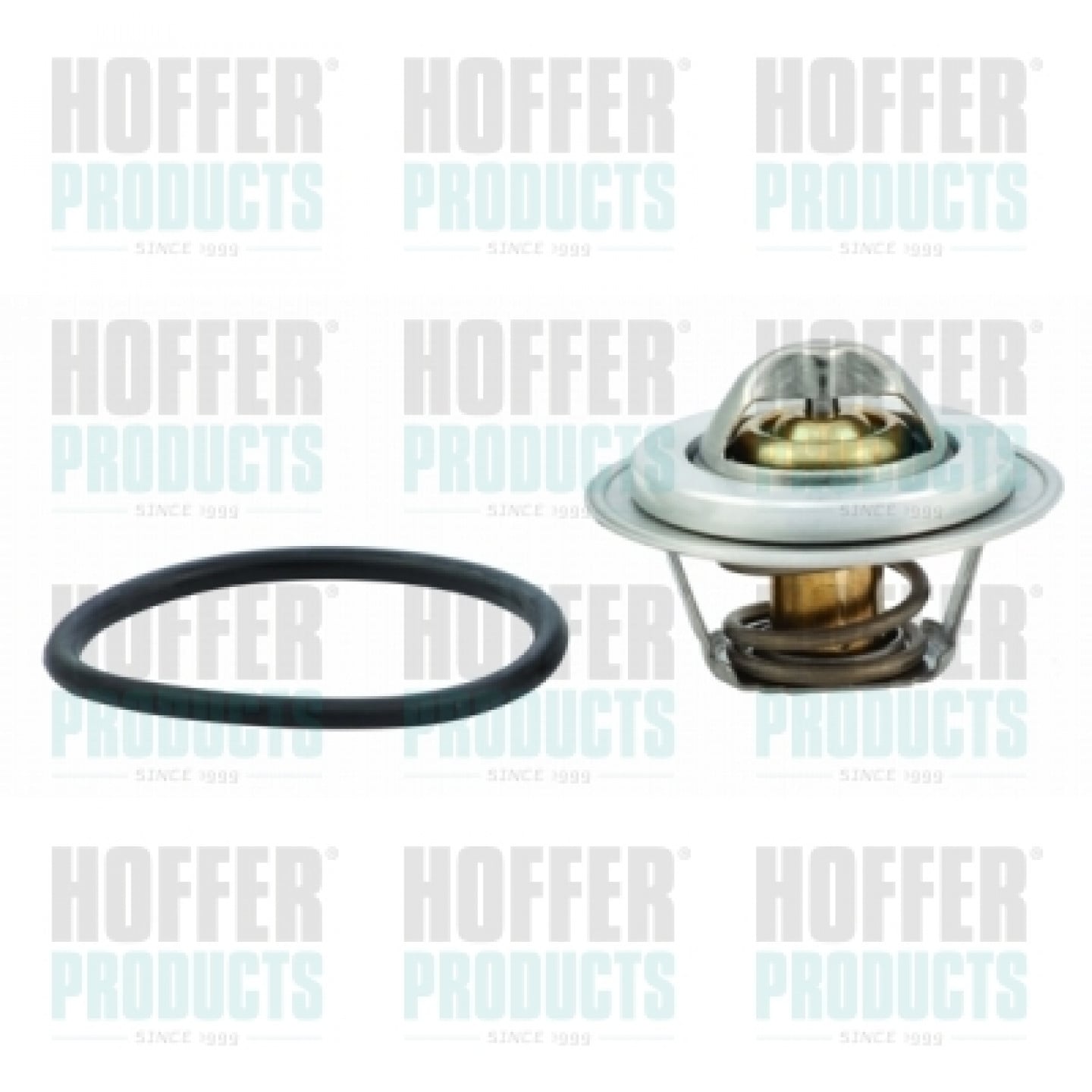 Termostat, kølemiddel HOFFER 8192737