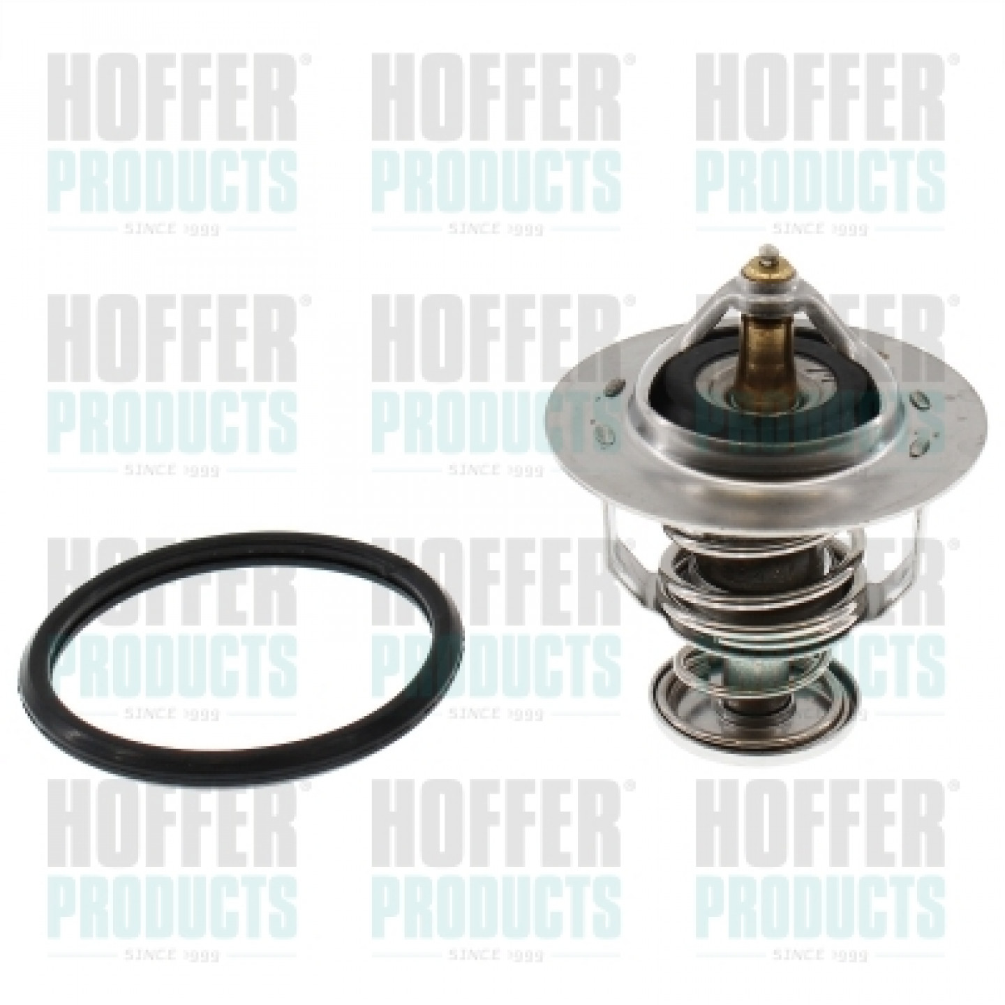 Thermostat d'eau HOFFER 8192742