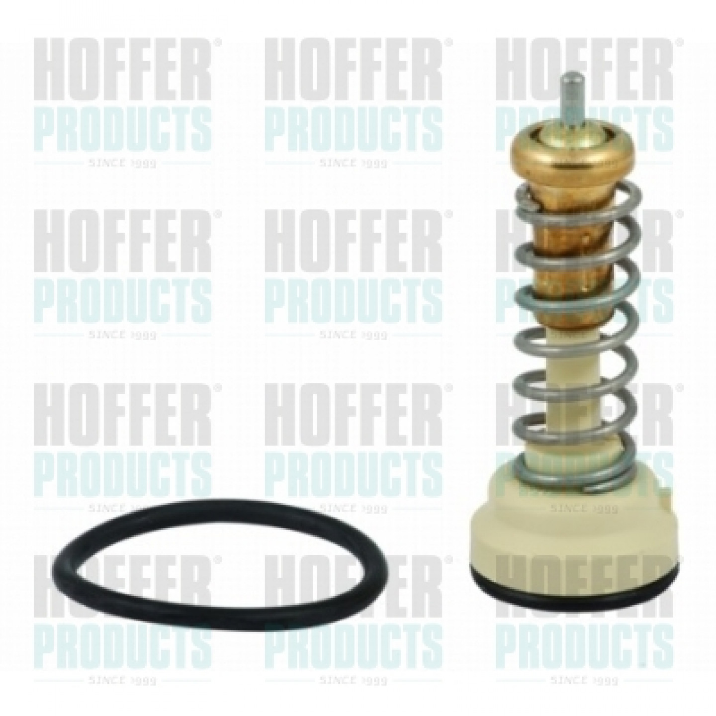 Thermostat d'eau HOFFER 8192755