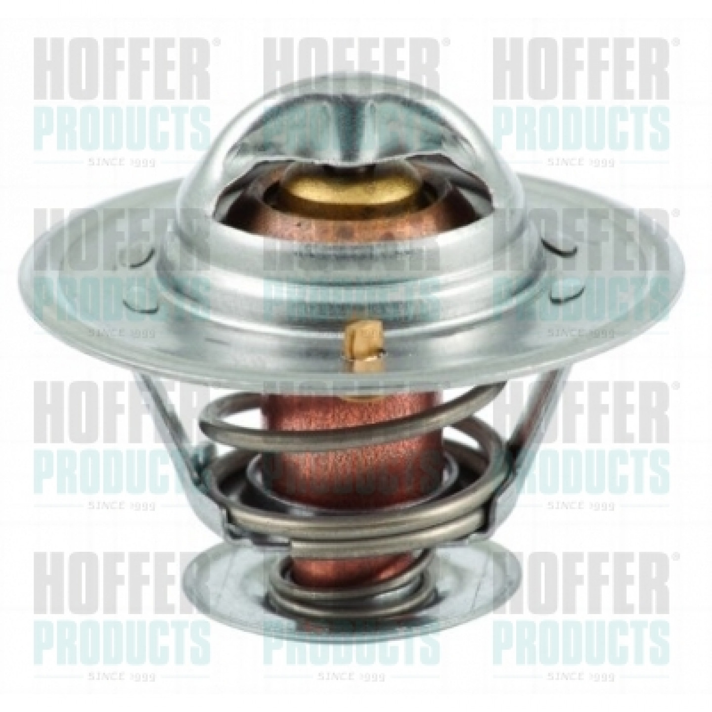 Thermostat d'eau HOFFER 8192213