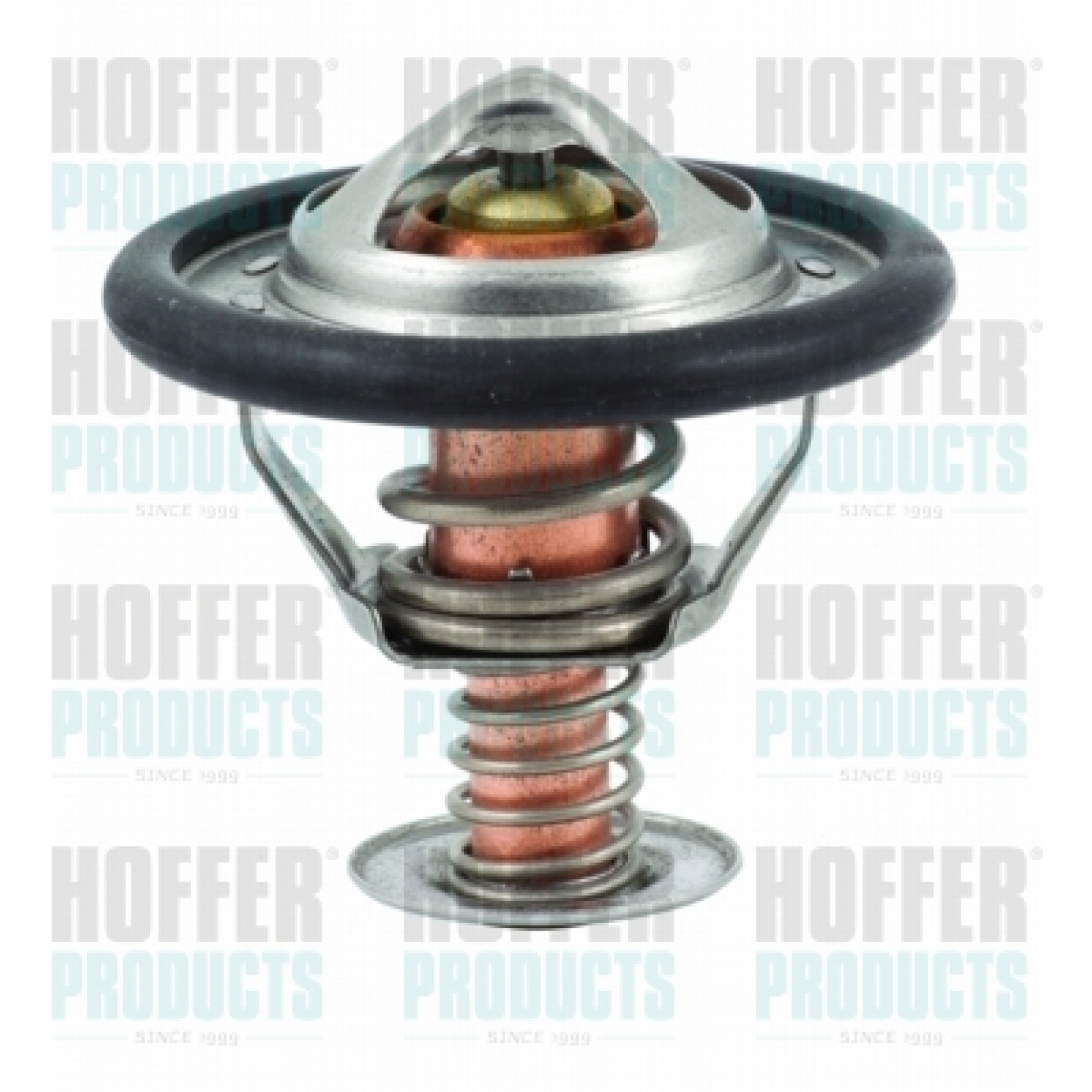 Thermostat d'eau HOFFER 8192330