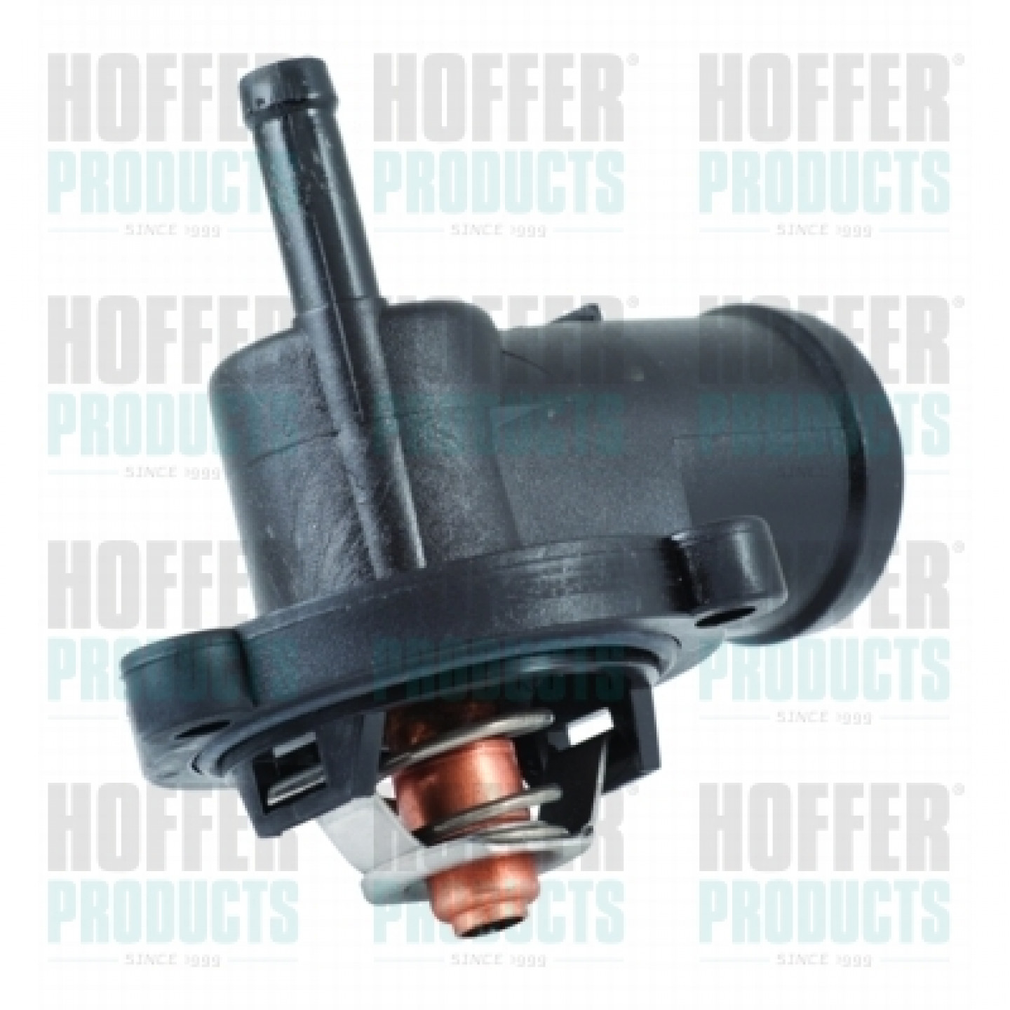 Thermostat d'eau HOFFER 8192715