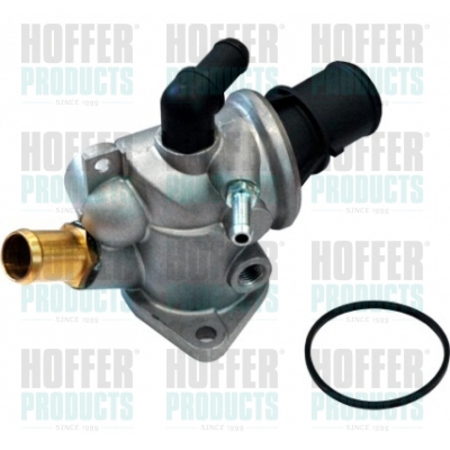 Thermostat d'eau HOFFER 8192080