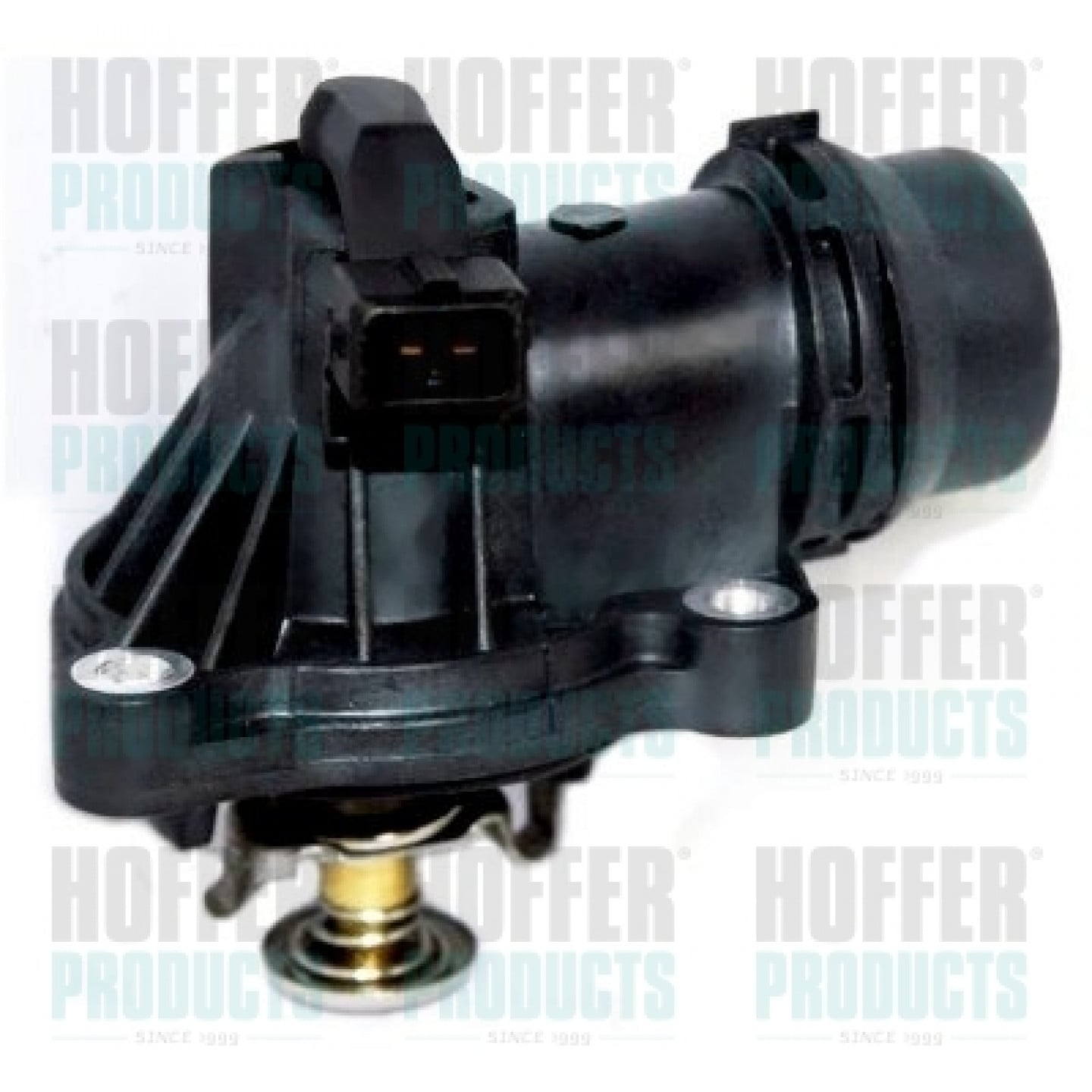 Thermostat d'eau HOFFER 8192763