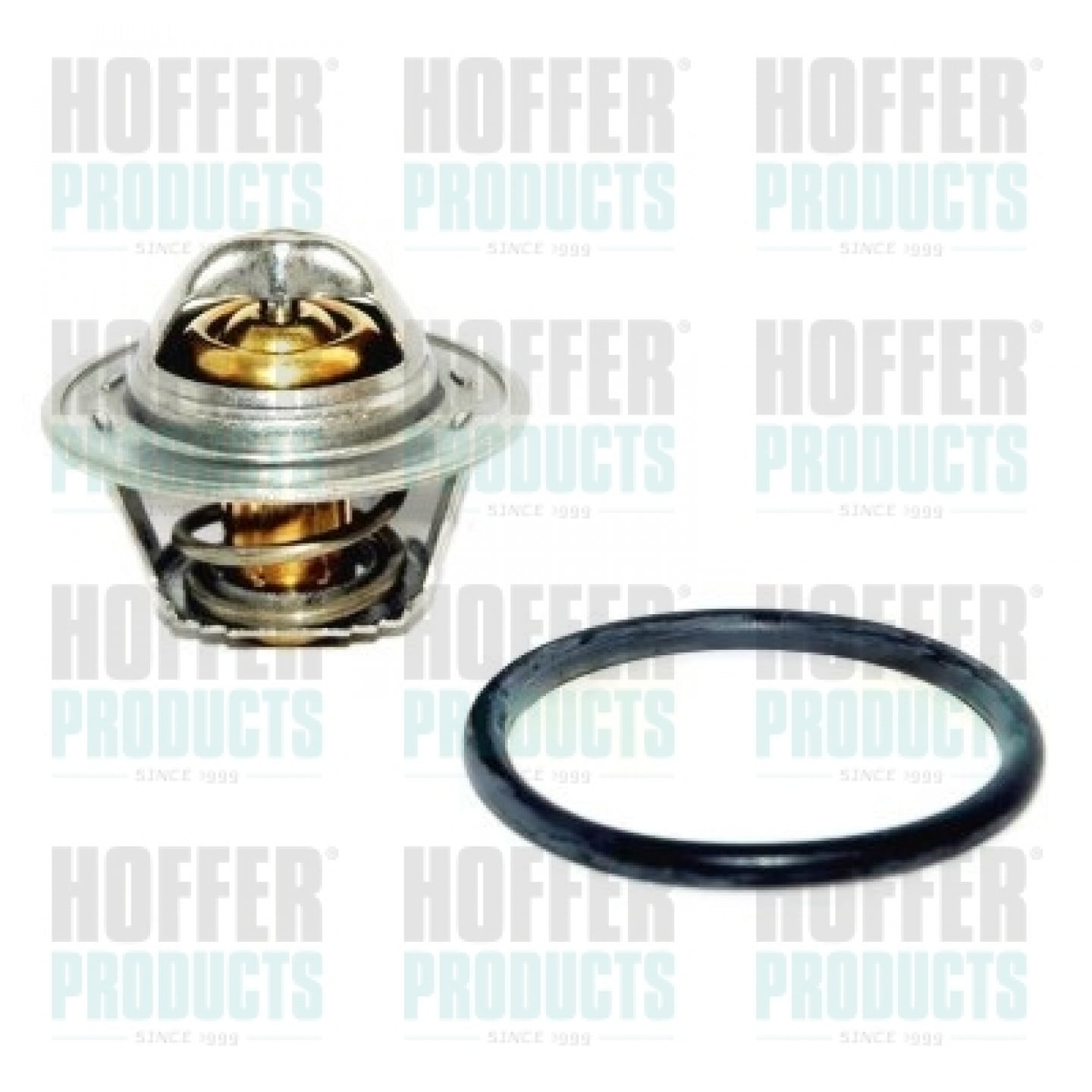 Thermostat d'eau HOFFER 8192301