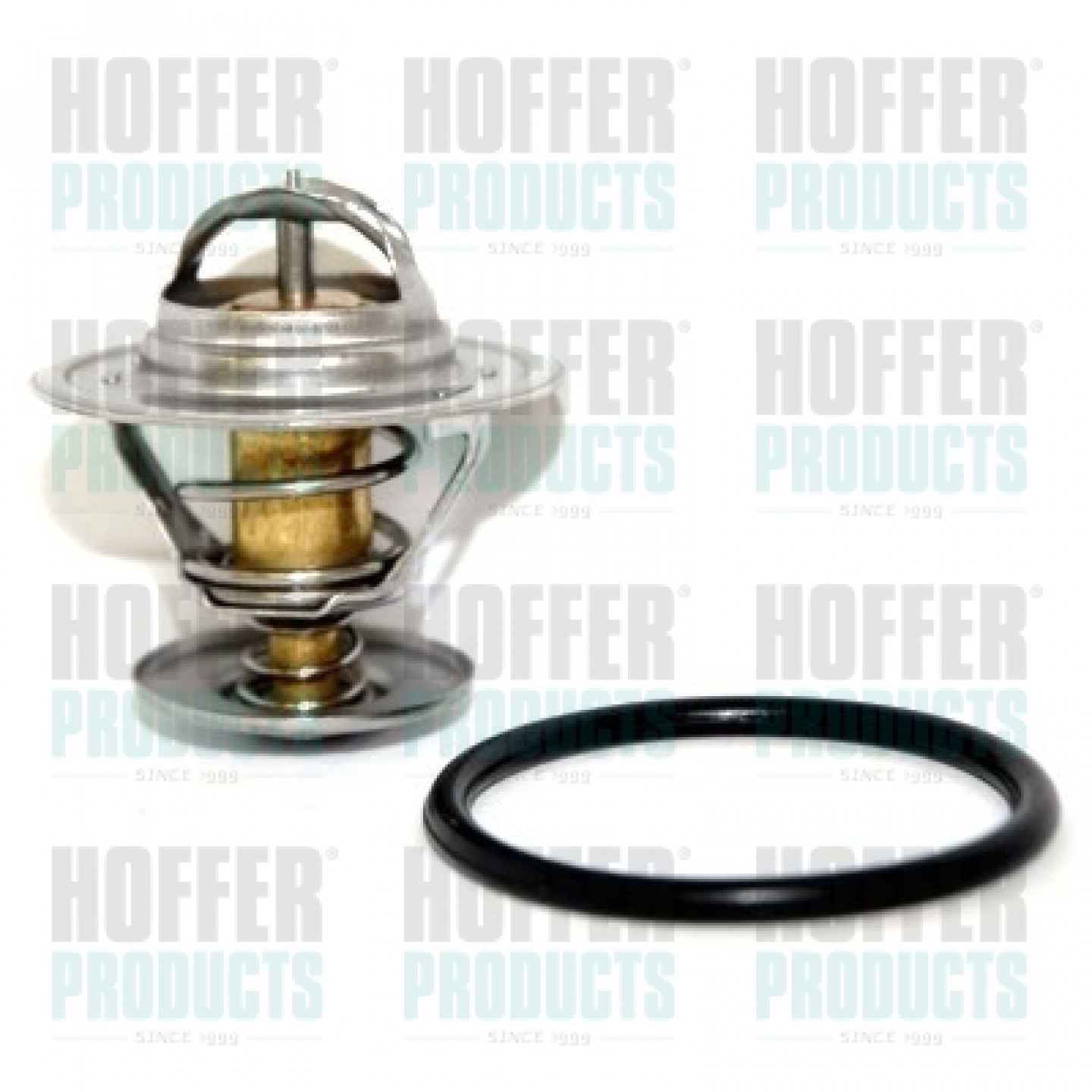 Thermostat d'eau HOFFER 8192243