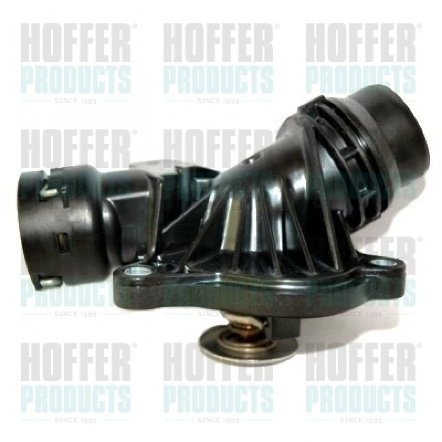 Thermostat d'eau HOFFER 8192516