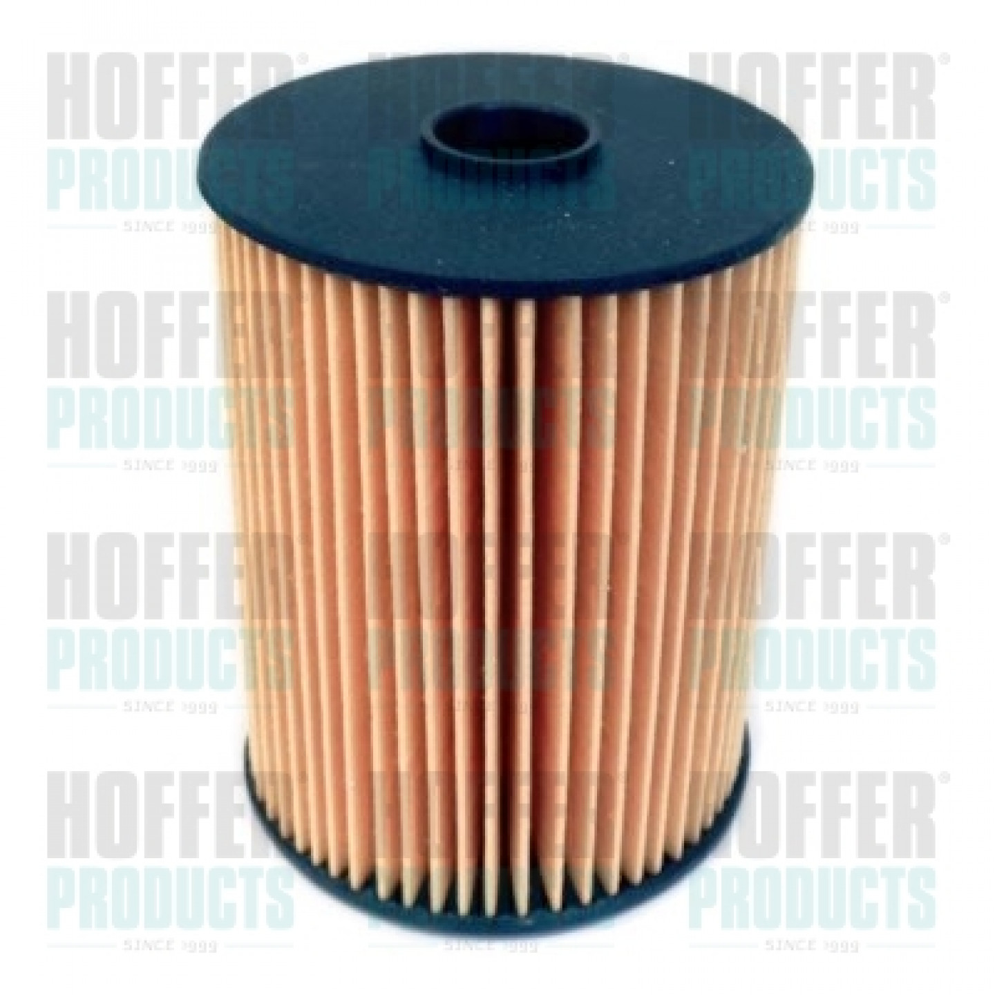 Filtro carburante HOFFER 4831