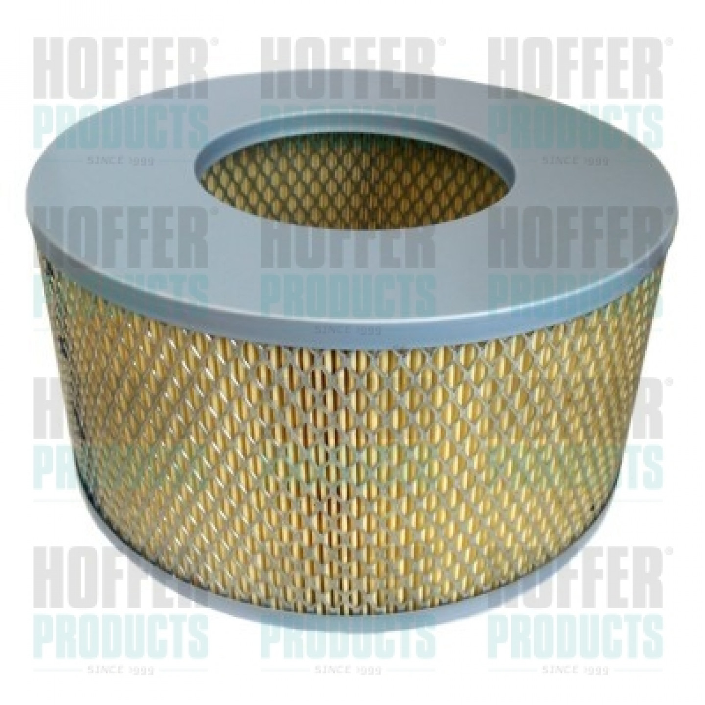 Luftfilter HOFFER 18085