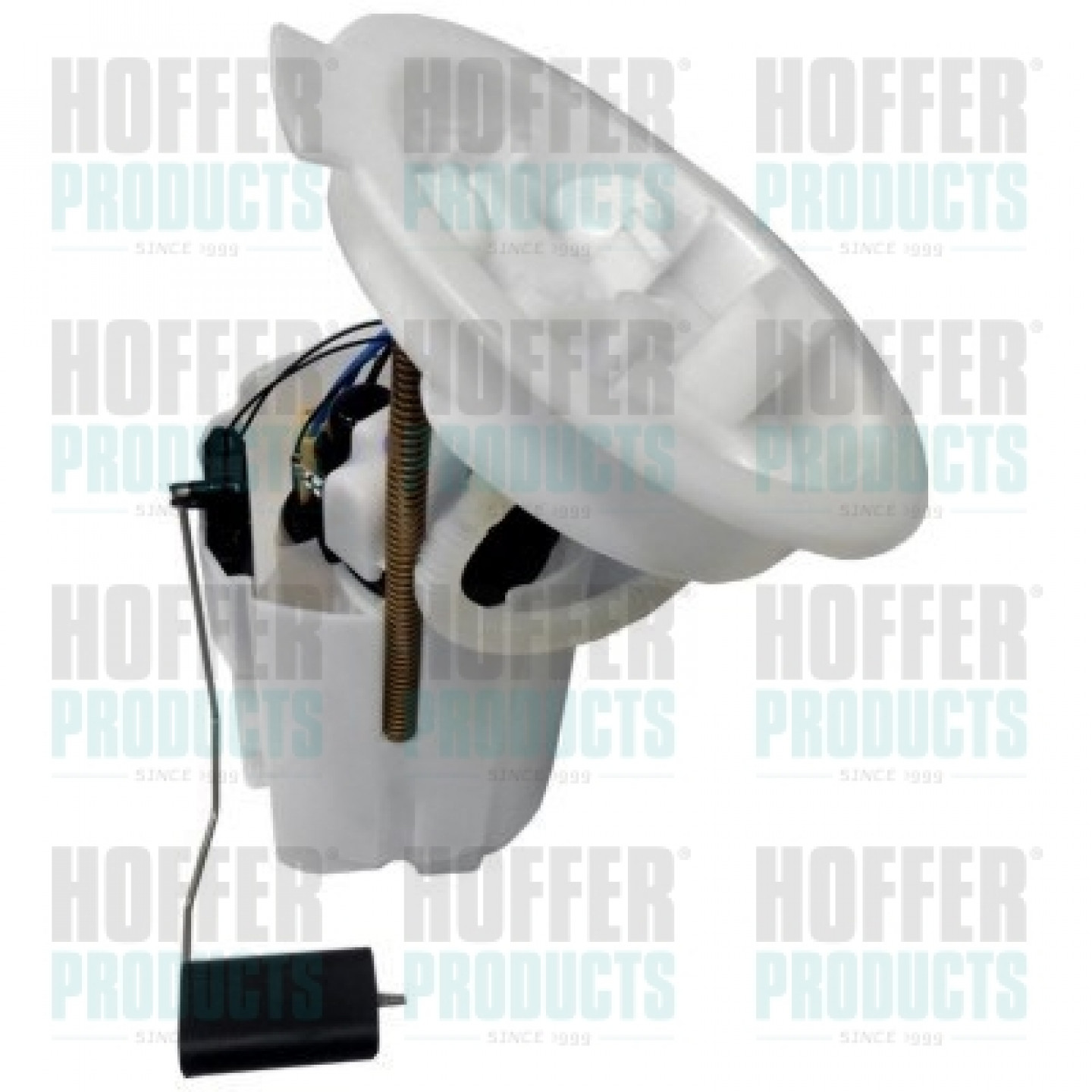 Unité d'injection de carburant HOFFER 7507575