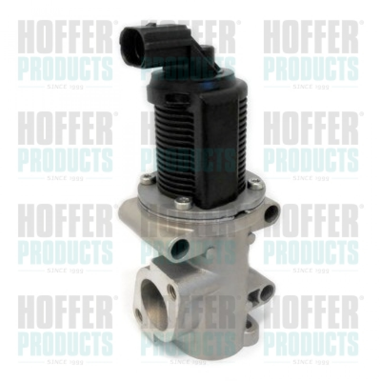 Válvula EGR HOFFER 7518094R
