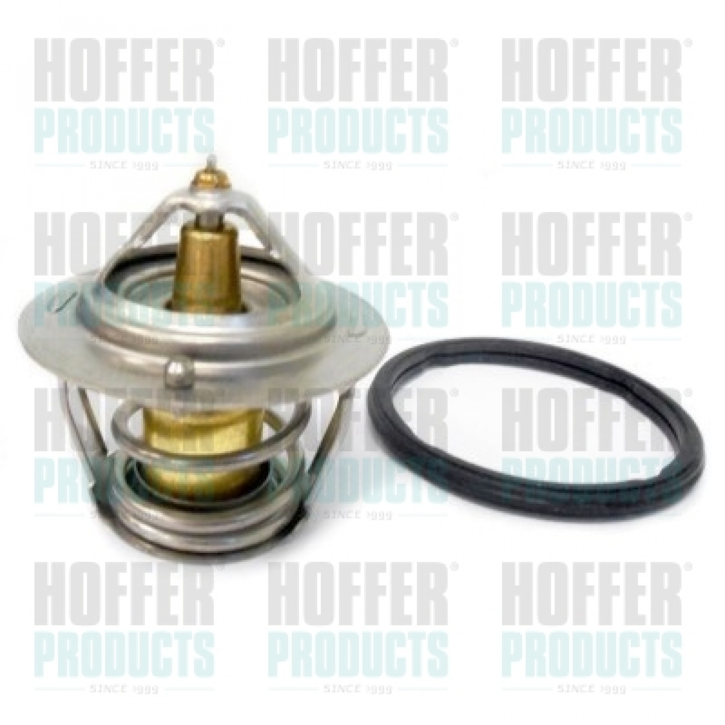 Thermostat d'eau HOFFER 8192324