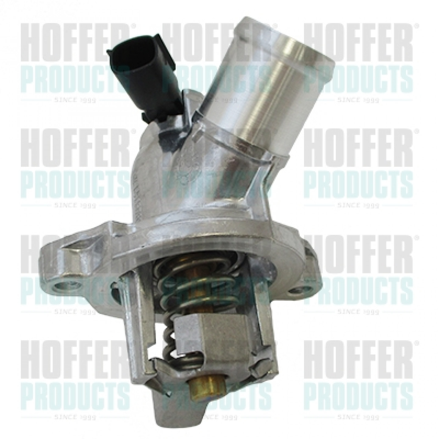 Thermostat d'eau HOFFER 8192861