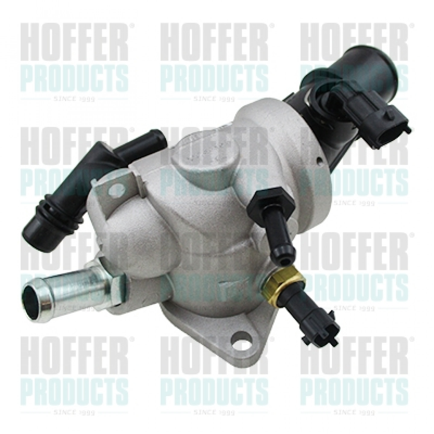 Thermostat d'eau HOFFER 8192927