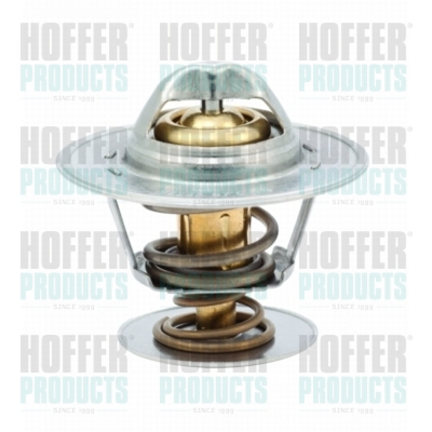 Thermostat d'eau HOFFER 8192125