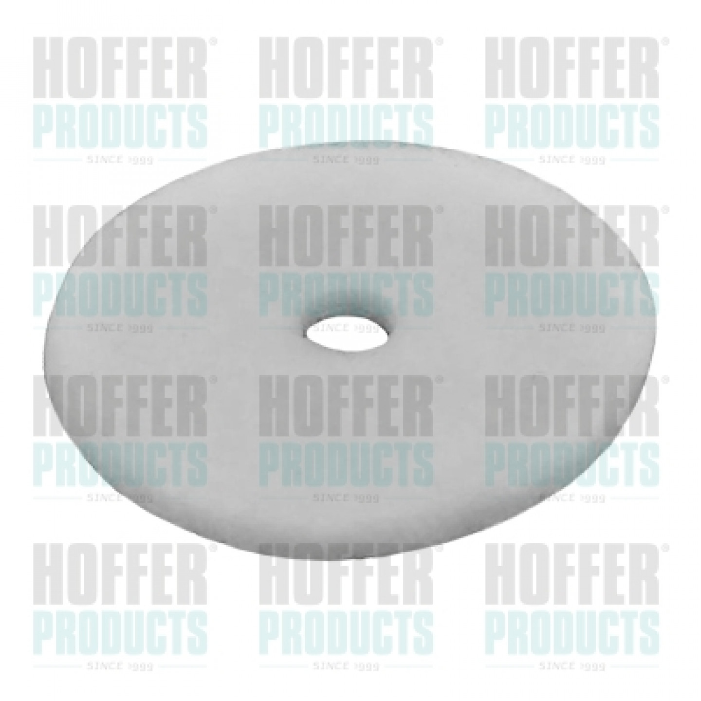 Filtro carburante HOFFER 6260
