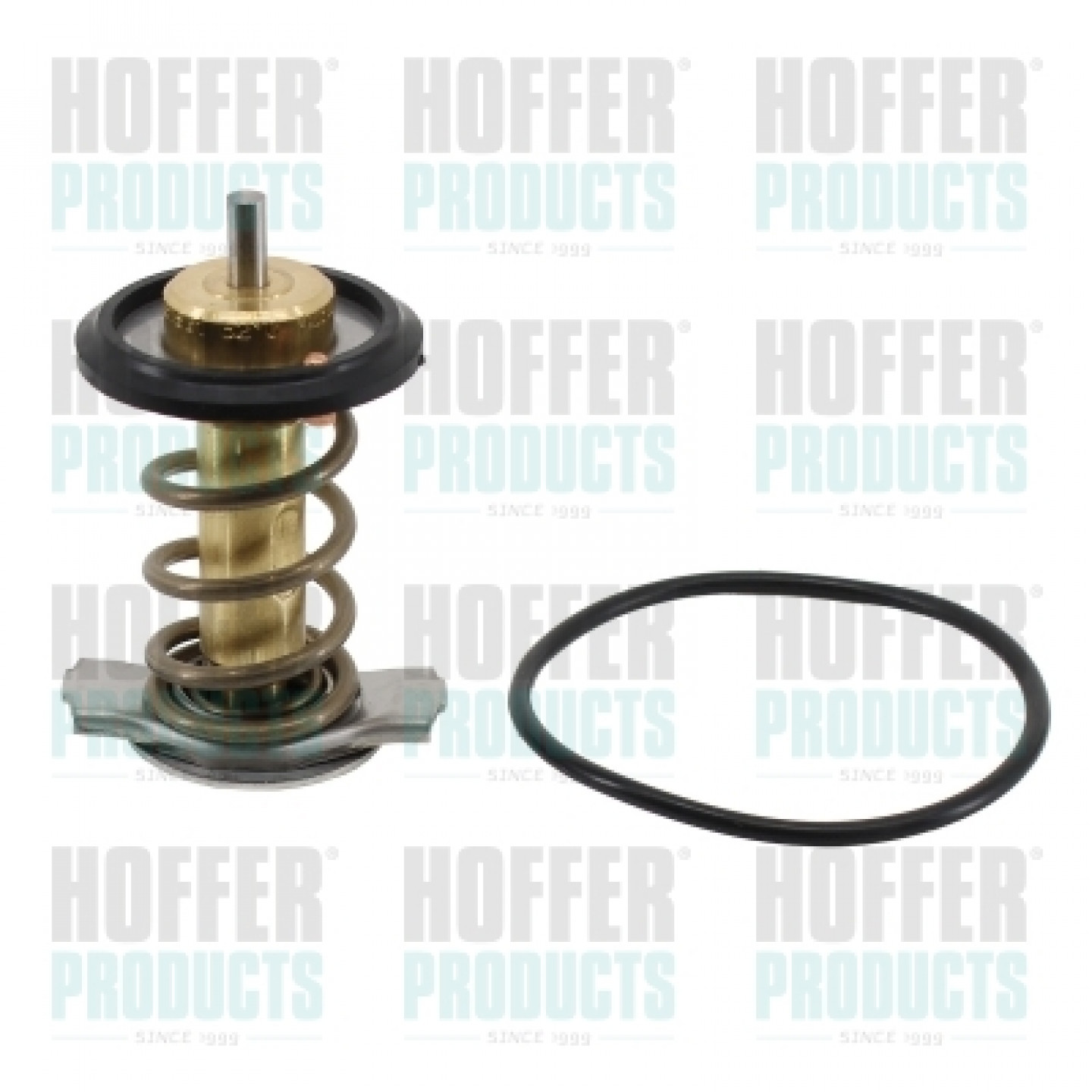 Thermostat d'eau HOFFER 8192957