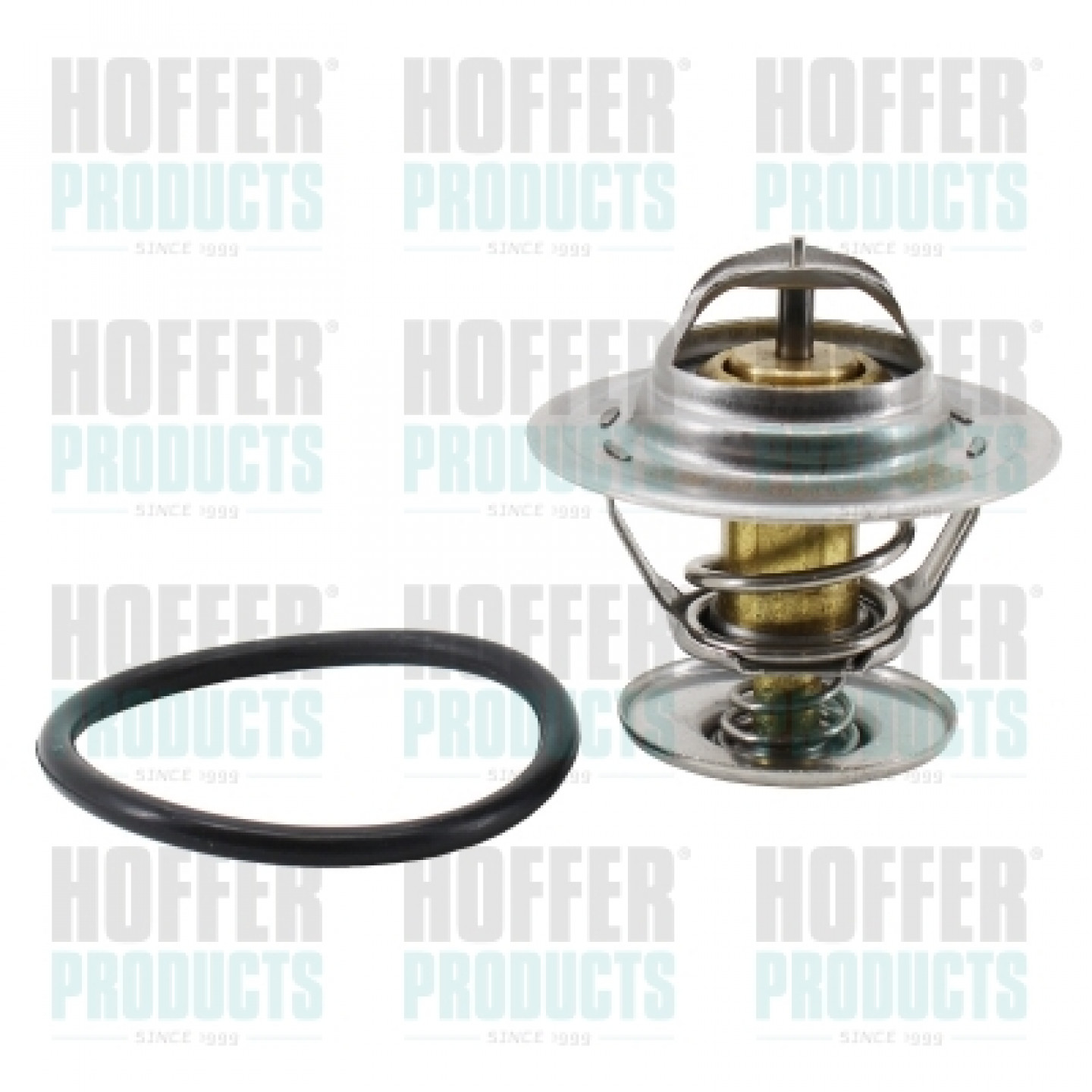Thermostat d'eau HOFFER 8192111