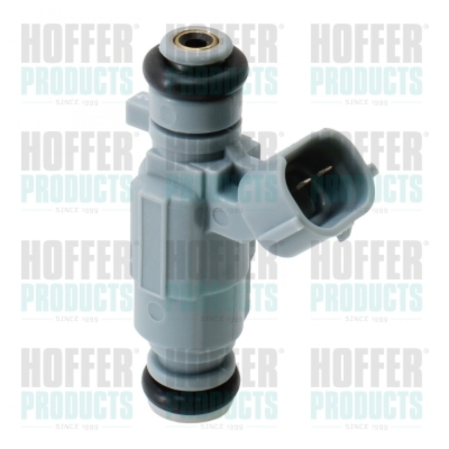 Injector HOFFER H75117157