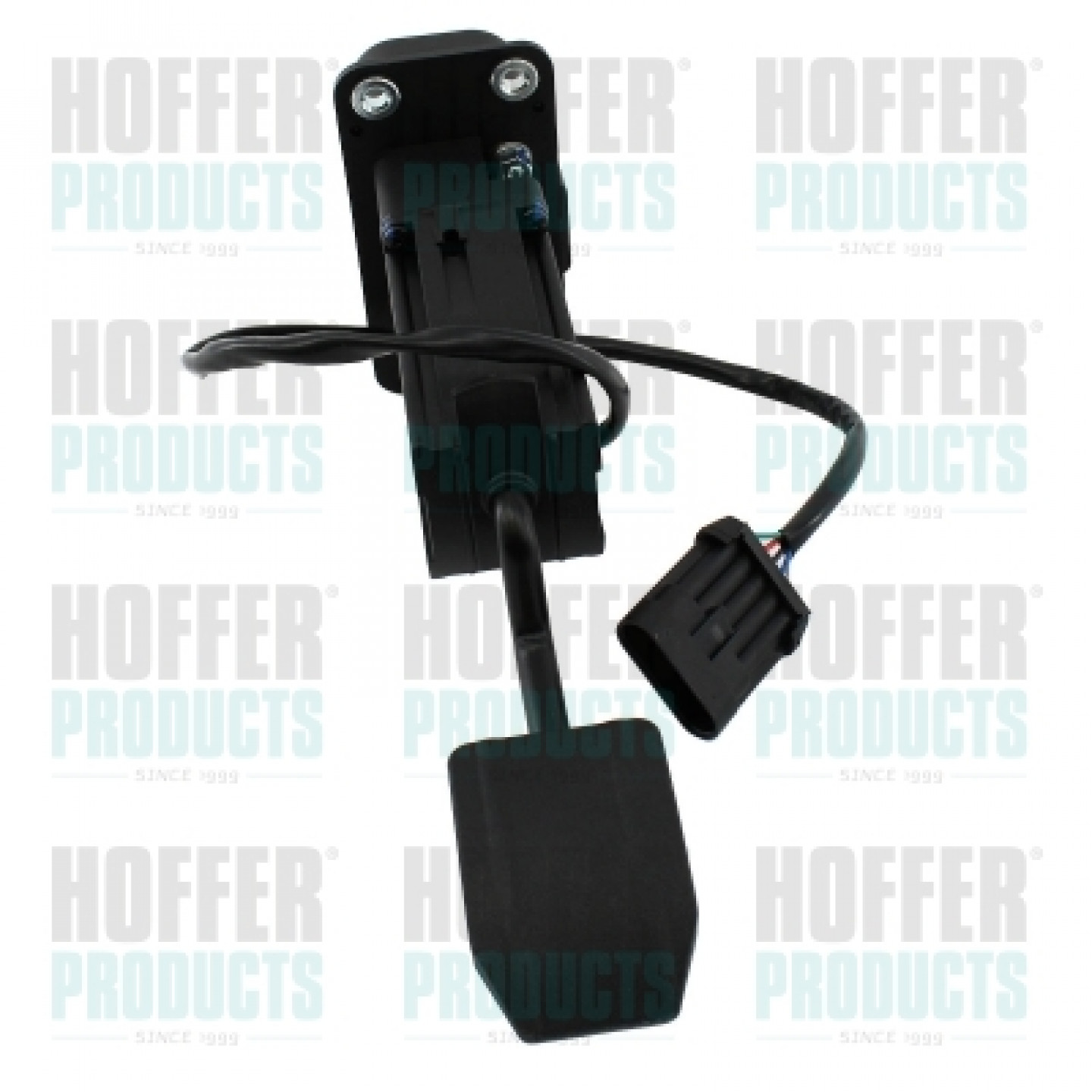 Gaspedaal kit HOFFER 7513707