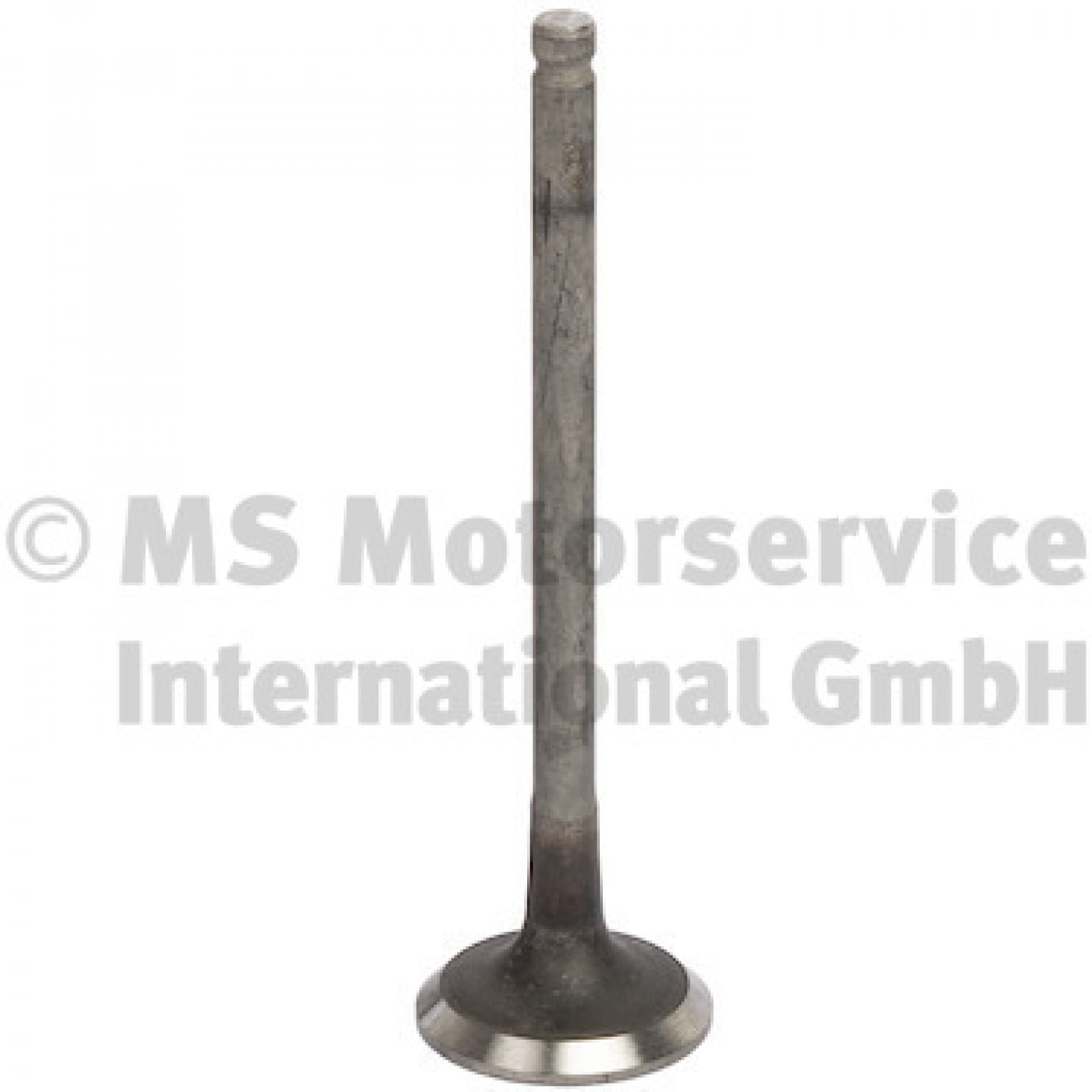 Udstødningsventil TRW Engine Component 769001