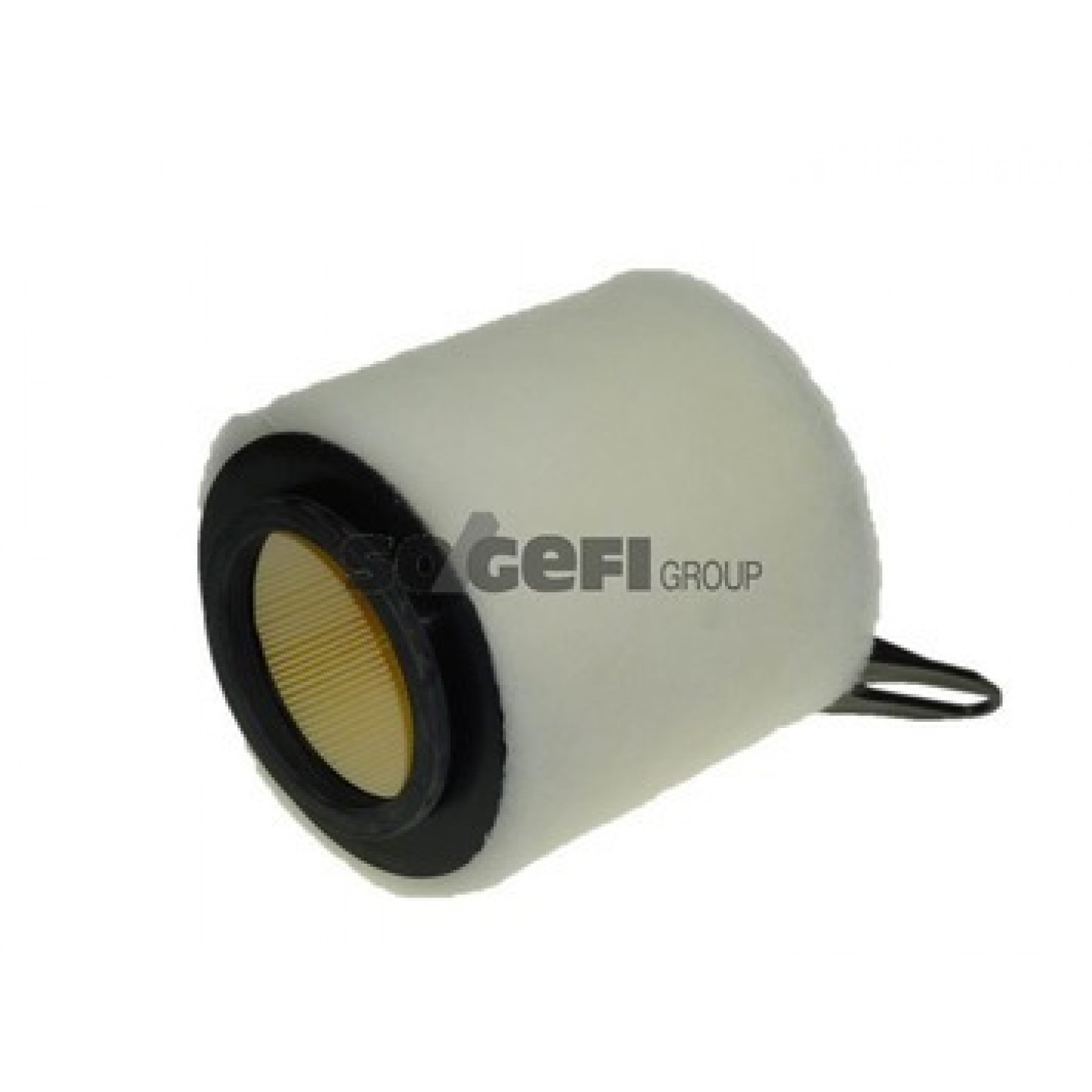 Filtre à air PURFLUX A1201