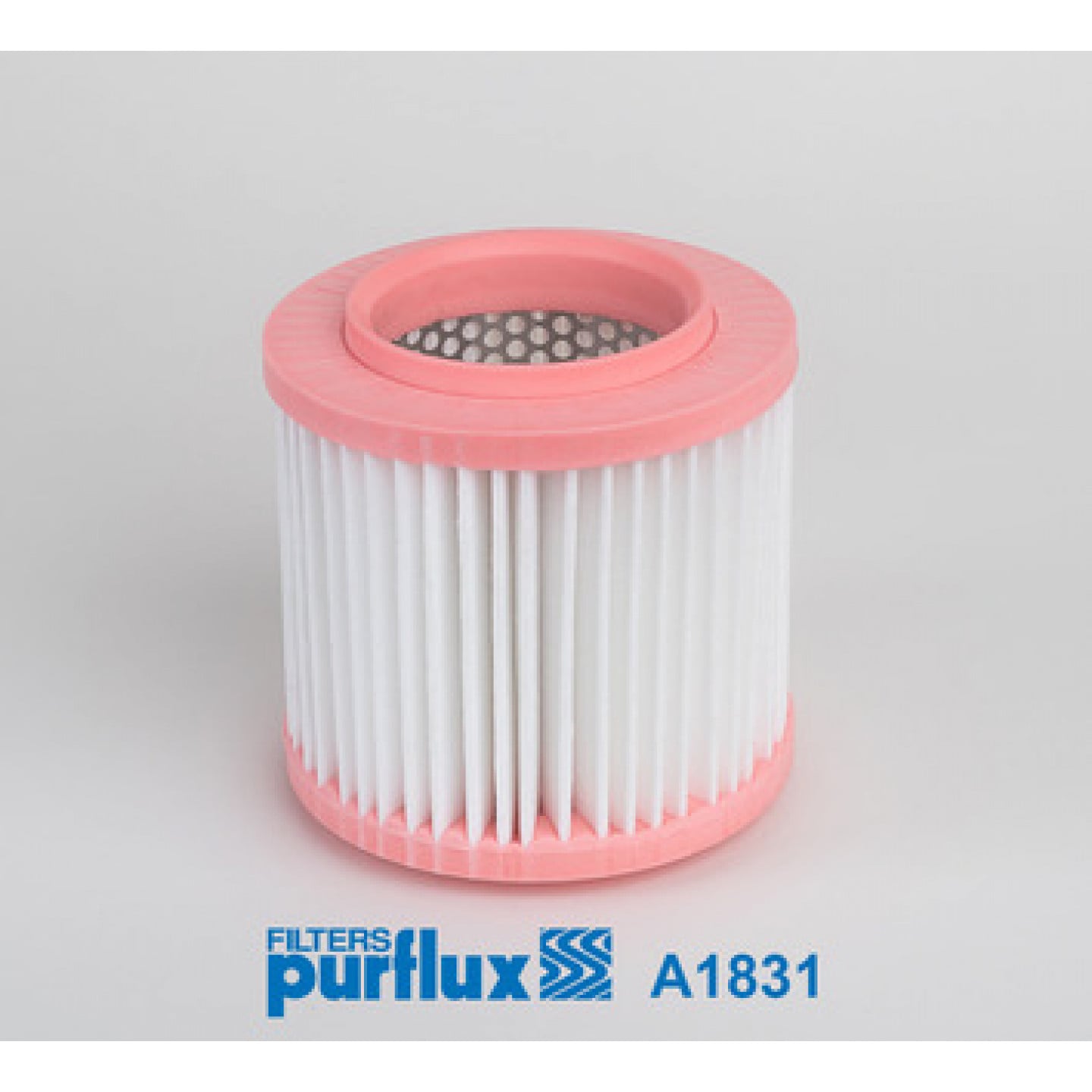 Filtro aria PURFLUX A1831