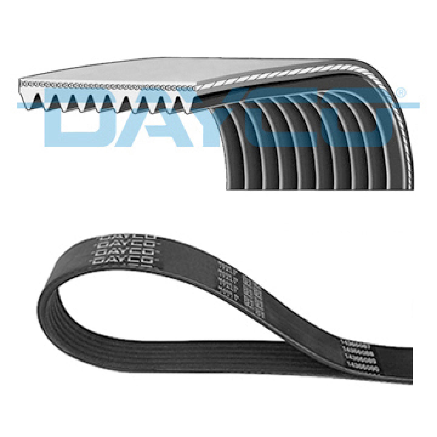 Keilrippenriemen DAYCO 10PK1250HD