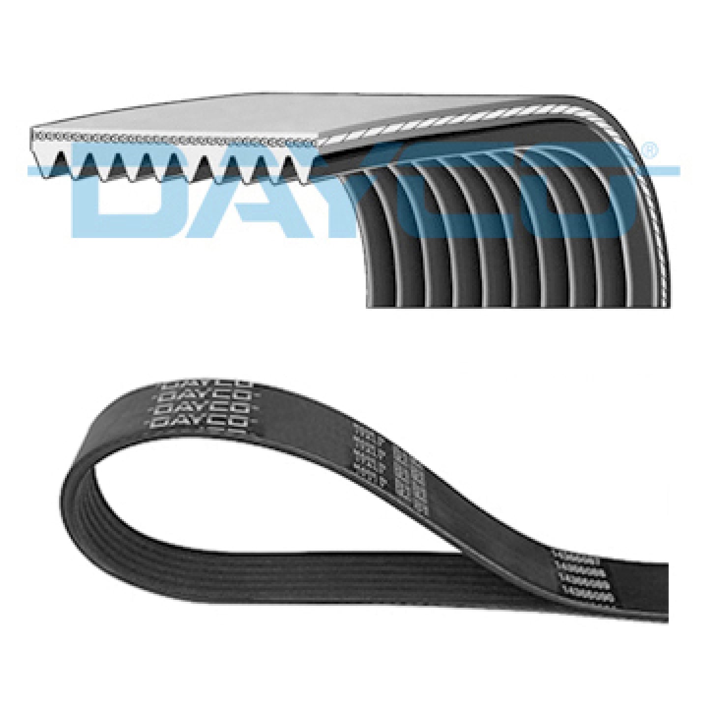 V-snaren DAYCO 10PK1494HD