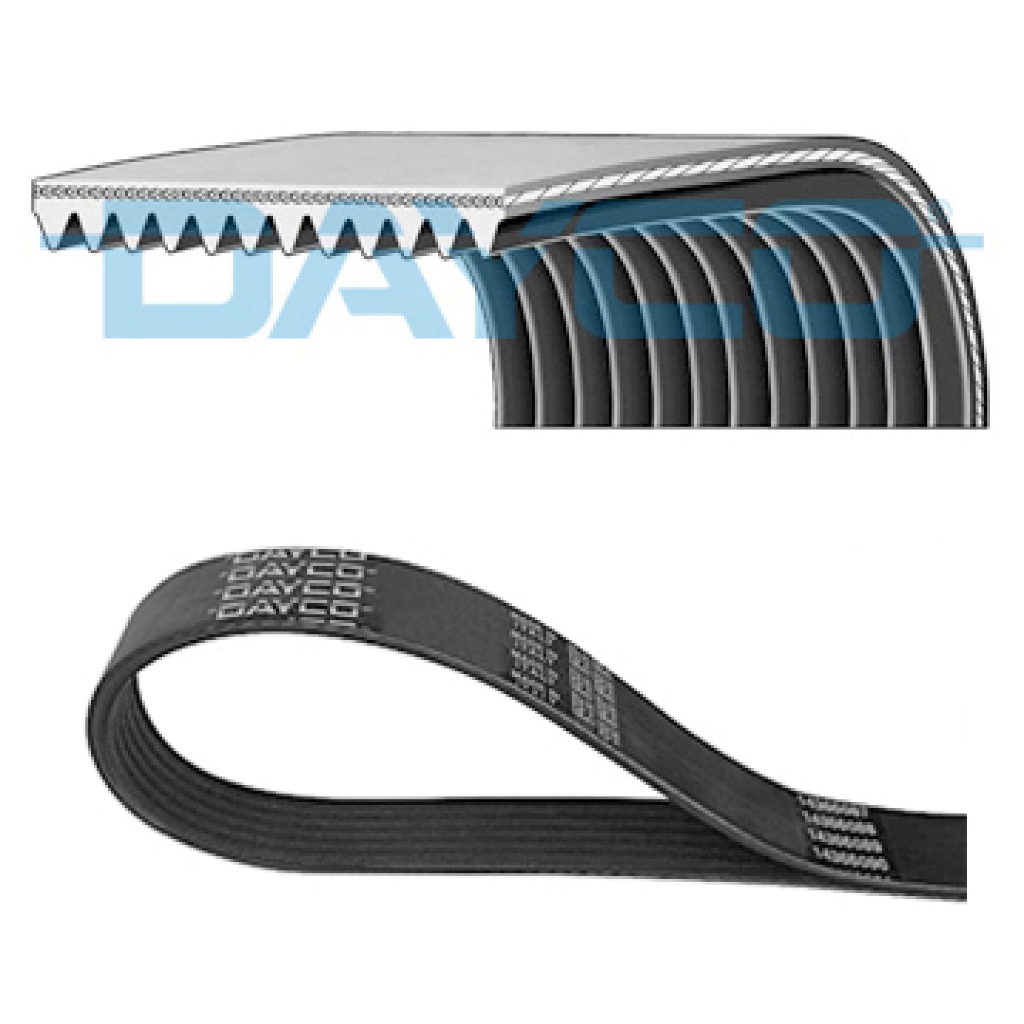 Dayco Cinghia Poly-V 12Pk1378hd
