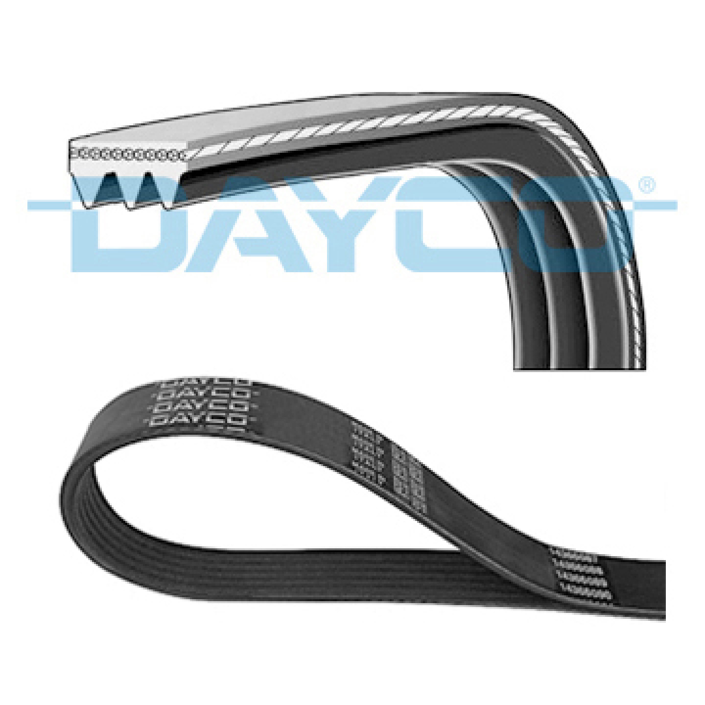 V-snaren DAYCO 3PK938