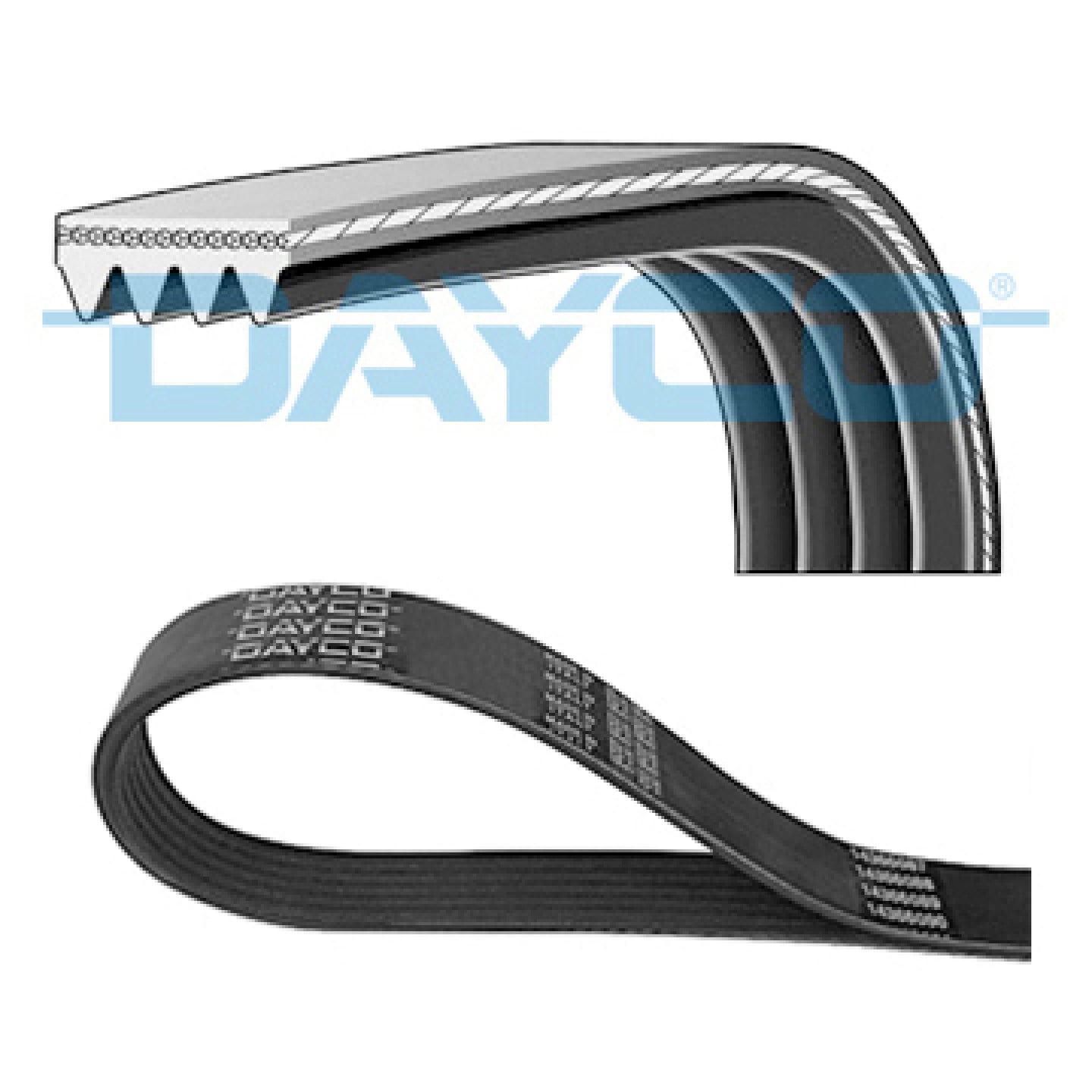 V-snaren DAYCO 4PK885