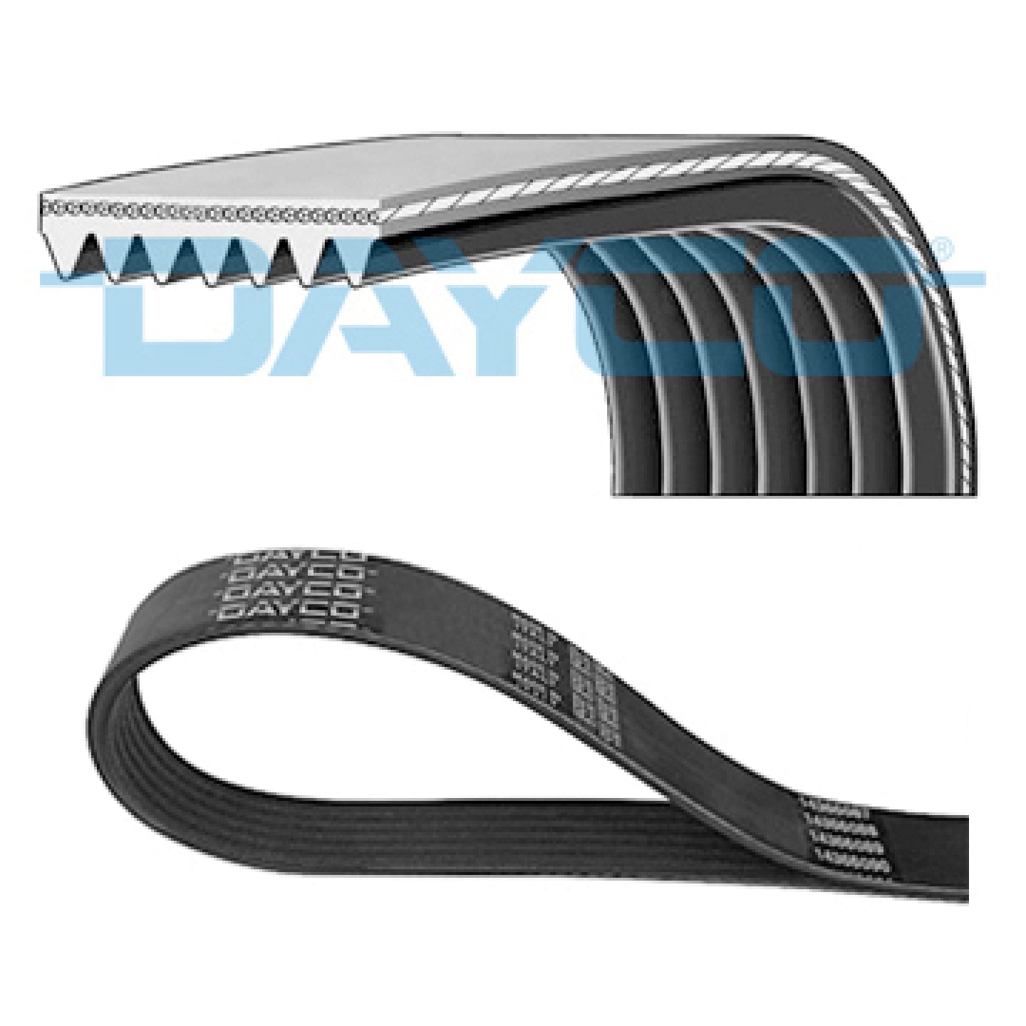 Kilerem DAYCO 7PK1557S
