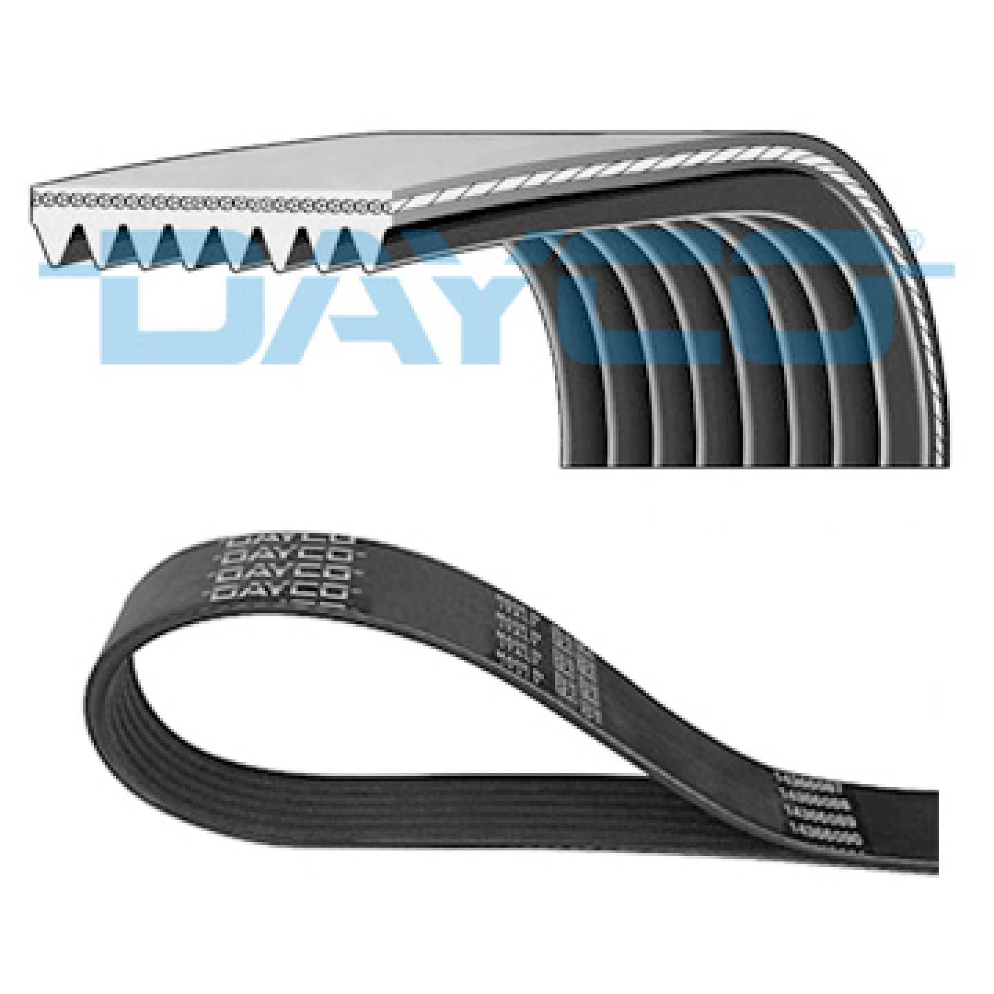 V-snaren DAYCO 8PK2110HD